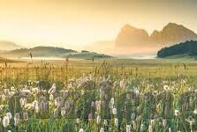 国产av一区二区三区四区-国产AV的多元化探索，一区、二区、三区、四区的独特魅力