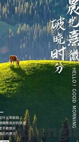 九一制片厂果冻传媒-九一制片厂与果冻传媒，创新与融合的影视新势力