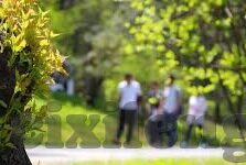 快猫视频回家麻豆-快猫视频与家，在虚拟与现实的交集中