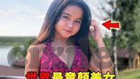 麻豆 91-麻豆，数字世界的创作乐园