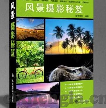 欧美成人直接看视频网站-欧美成人视频网站的直接体验，探索与理解