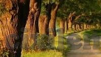 人妻无码av-家庭与个人界限，探讨现代女性角色与网络文化的微妙平衡