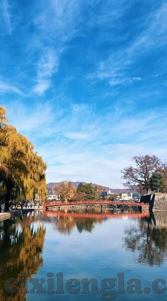 日语中文字幕在线-探索日语中文字幕在线的魅力与便捷