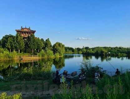 www.糖心vlog-探索多元视角，www.糖心VLOG的多元内容与个人表达空间