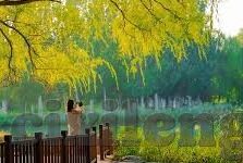 亚洲福利一区二区三区-亚洲福利一区二区三区，区域发展差异与未来展望